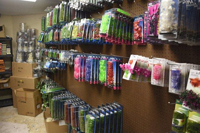 Fish Tanks Direct