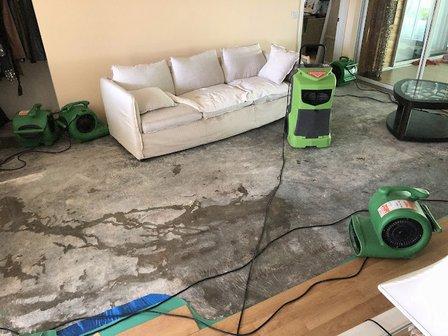 SERVPRO of Venice