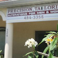 Precision Tailoring by Zina (alterations) By Zina
