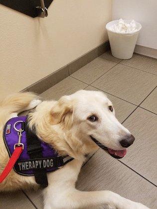 VCA San Francis Animal Hospital