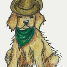 Country Dog Grooming Salon