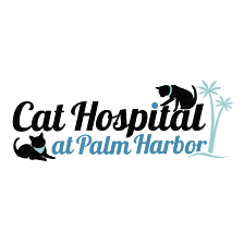 Cat Hospital At Palm Harbor