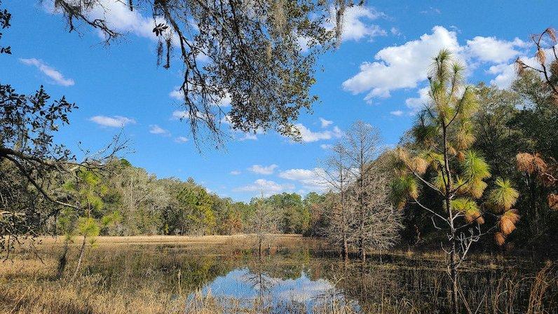 Florida Trail - Roadside Parking