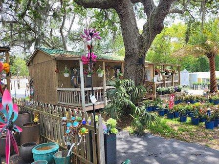 Anson Nursery