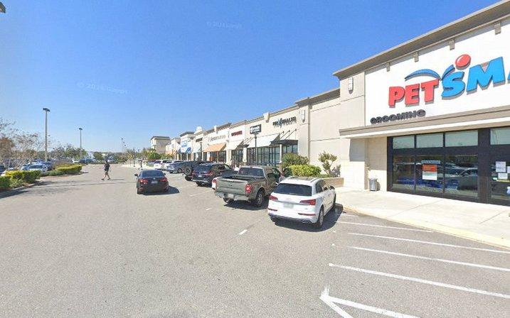 PetSmart Dog Training