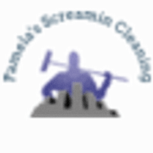 Pamela's Screamin Cleaning Service