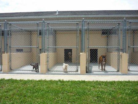Panacea Pet Resort