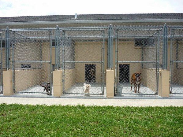Panacea Pet Resort