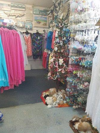 Shell Land Gifts