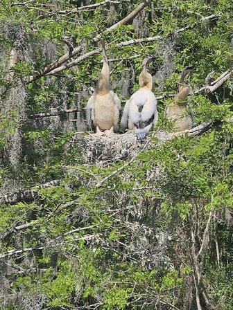 Crystal River National Wildlife Refuge