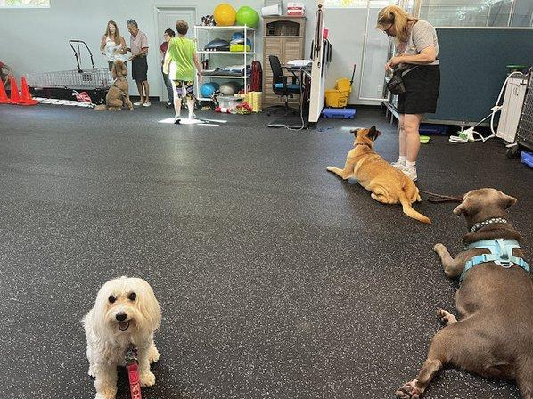 Country Oaks Animal Hospital & Boarding Kennel