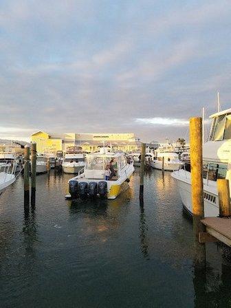 Marker 1 Marina