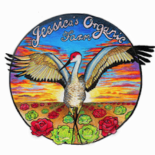 Jessica's Organic Farm