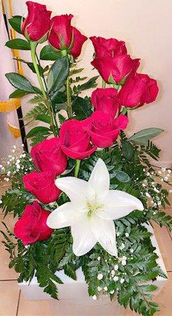 Downing Funeral Home & Cremation Services