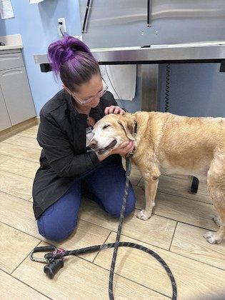 Day & Evening Pet Hospital & Surgical Center