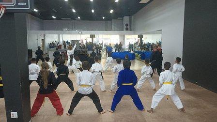 Martial Arts Plus