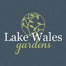 Lake Wales Garden Apartments