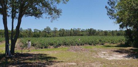 Cavallo Estate Winery