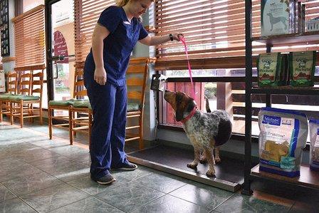 Animal and Bird Medical Center of Palm Harbor