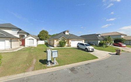 Central FL SEO