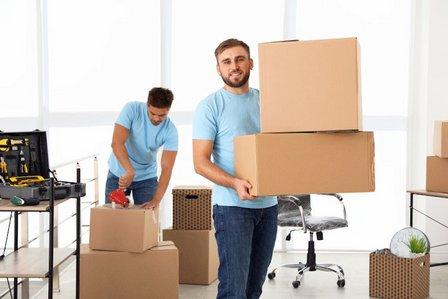 Local Motion Mover's Winter Haven