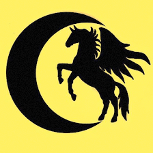 Black Moon Equestrian