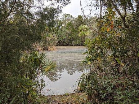 Dixie Shores Trails