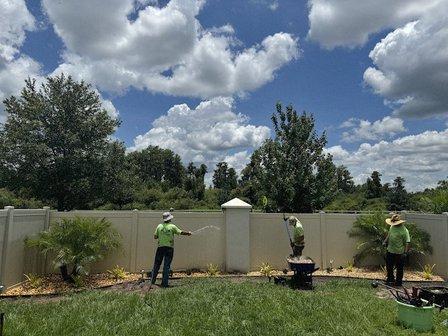 Joey's Weeding & Landscaping