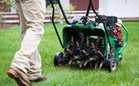 McGuire's Beautiful Outdoors Inc.