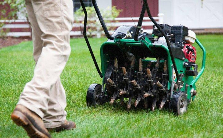 McGuire's Beautiful Outdoors Inc.