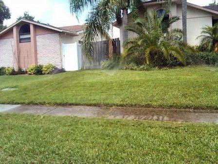Aqua Sprinklers