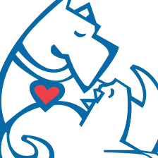Palm Harbor Animal Hospital