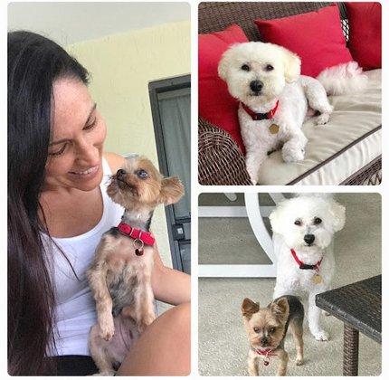 Pet Nanny Service