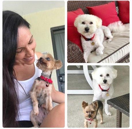 Pet Nanny Service