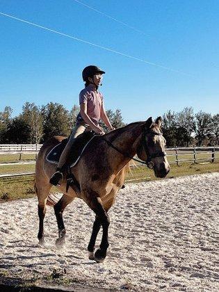 Black Moon Equestrian