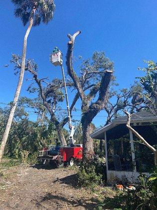 Anthony Stone Landscaping, Tree Trimming, & Removal
