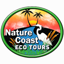 Nature Coast Eco Tours
