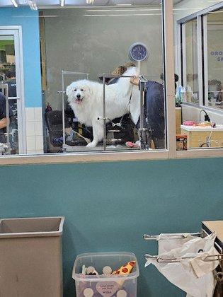 Petco