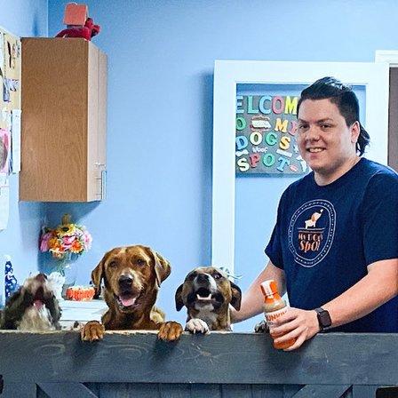 Palm Harbor Animal Hospital