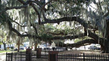 Baranoff Park