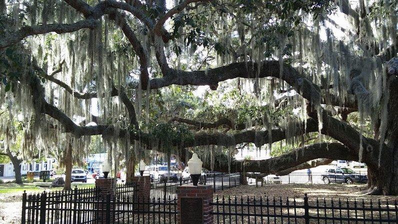 Baranoff Park