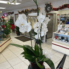 Rambling Rose Florist