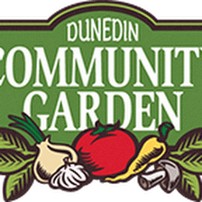 Dunedin Community Garden