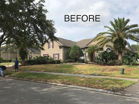 Paradise Landscaping & Irrigation