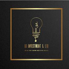 A1 INVESTMENT & LED