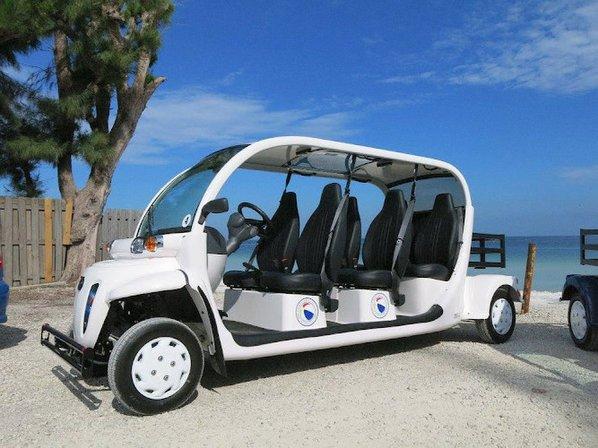 AMI Beach Buggys