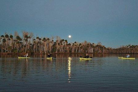 Nature Coast Eco Tours