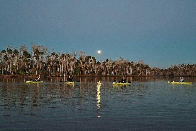 Nature Coast Eco Tours