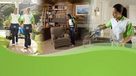 The Cleaning Authority - Palm Harbor