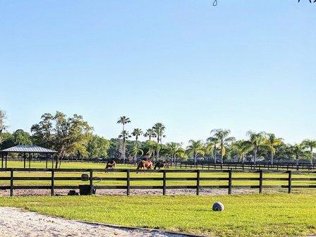 Tranquility Equestrian Center